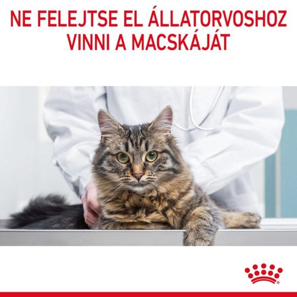 Royal Canin Light Weight Care szószban 85 g