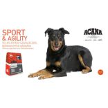 Acana Sport & Agility 11,4 kg