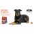 Acana Sport & Agility 11,4 kg