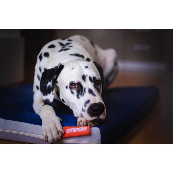 Aminela Matrac Half and Half - 120x80x10 cm piros/világos szürke