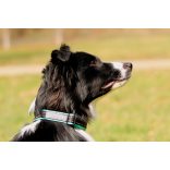 Aminela nyakörv classic - Sport & City 25 mm/30-50 cm, türkiz