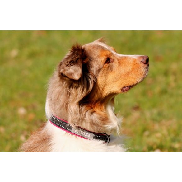 Aminela nyakörv classic - Sport & City 25 mm/35-70 cm, piros