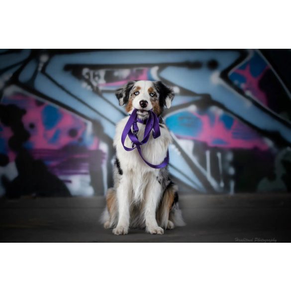 Aminela állítható póráz karikával 15 mm/220 cm lila