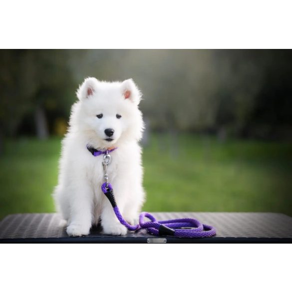 Aminela kötél póráz 8 mm/150 cm lila