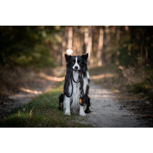 Aminela kötél póráz 12 mm/150 cm szürke