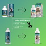 Arthrocol Mobility Junior - Rocky (Plus) ízületvédő és porcerősítő tápkiegészítő kutyáknak 500 ml