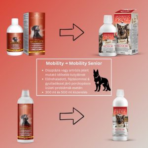 Arthrocol Mobility Senior Komplex ízületvédő tápkiegészítő kutyáknak 300 ml