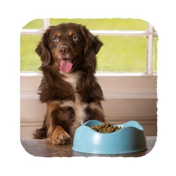 Beco Pets Tál Cicáknak Natúr