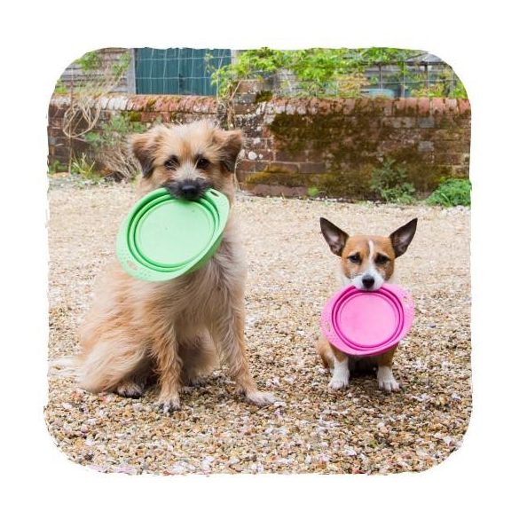 Beco Pets Összecsukható Utazótál L Rózsaszín