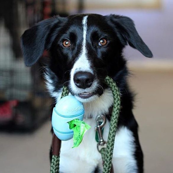 Beco Pets Zacskó Tartó Rózsaszín