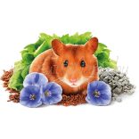 Brit-Animals-Hamster-horcsog-eledel-300-g