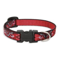 LUPINE nyakörv (Wild West 1,25 cm széles 16-22 cm )