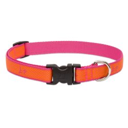 LUPINE nyakörv (CLUB Sunset Orange 1,9 cm széles 34-55 cm)