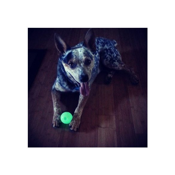 Chuckit Pro 18M Max Glow Ball Launcher translucent