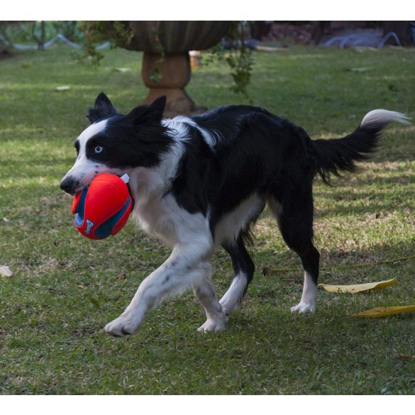 Chuckit! Fumble Fetch Rögbi 