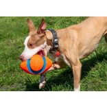 Chuckit! Fumble Fetch Rögbi 