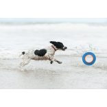 Chuckit! Hydro Roller