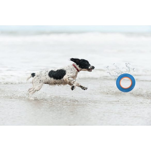 Chuckit! Hydro Roller