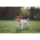 Chuckit! Breathe Right Fetch Stick
