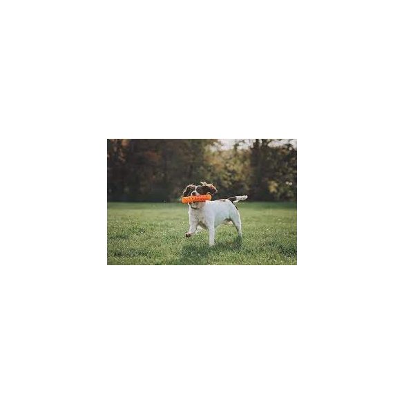 Chuckit! Breathe Right Fetch Stick