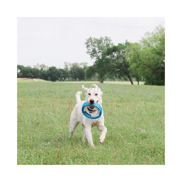 Chuckit! Rugged Fetch Wheel