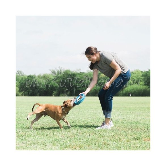 Chuckit! Rugged Fetch Wheel