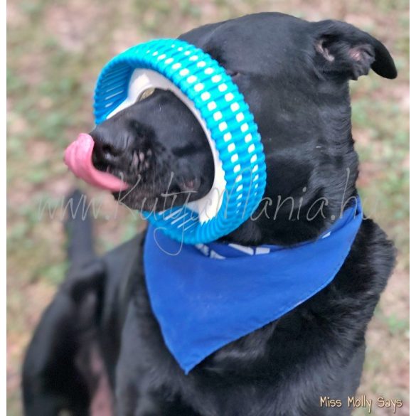 Chuckit! Rugged Fetch Wheel