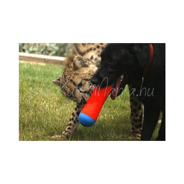 Chuckit! Tumble Bumper Max Glow Medium