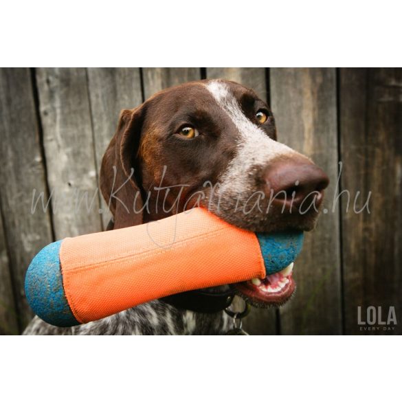 Chuckit! Tumble Bumper Max Glow Medium