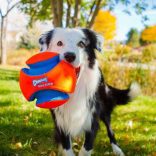 Chuckit! Kick Fetch labda S Giggle