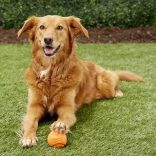 Chuckit! Super crunch M 1 db