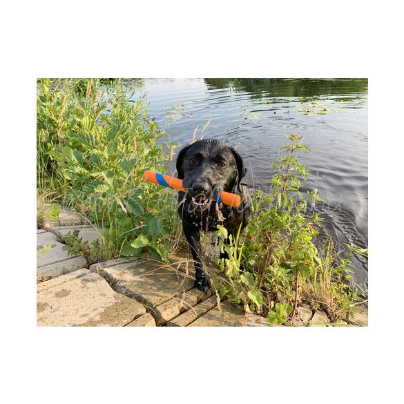 Chuckit! Ultra Fetch Stick