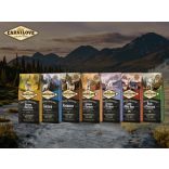 CarniLove Salmon for Adult Lazac 1,5 kg