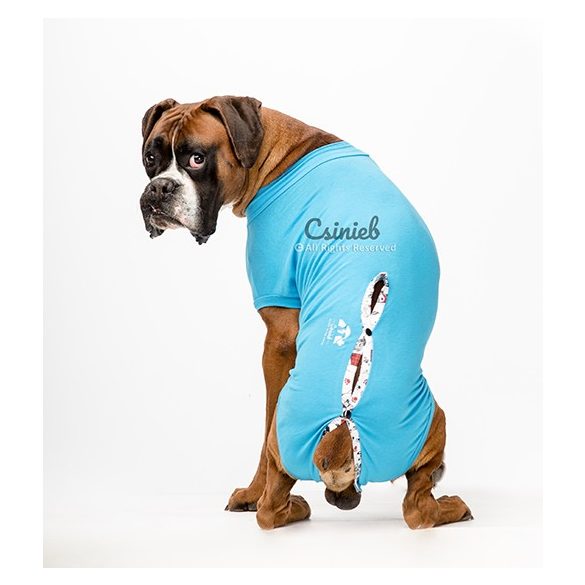 Csinieb műtét utáni ruha Kan kutyáknak 03