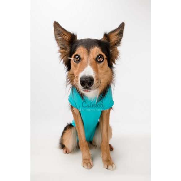 Csinieb műtét utáni ruha Kan kutyáknak 03