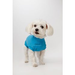 Csinieb műtét utáni ruha Kan kutyáknak 04