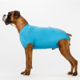 Csinieb műtét utáni ruha Kan kutyáknak 12