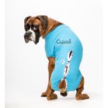 Csinieb műtét utáni ruha Kan kutyáknak 12