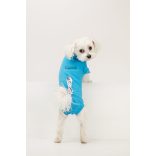 Csinieb műtét utáni ruha Kan kutyáknak D3