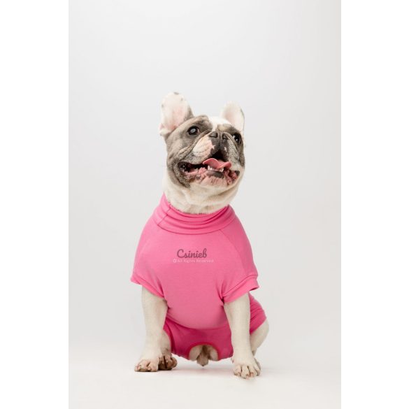 Csinieb műtét utáni ruha szuka kutyáknak 03