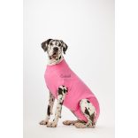 Csinieb műtét utáni ruha szuka kutyáknak 04