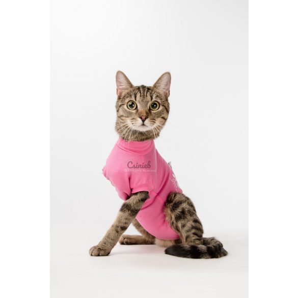 Csinieb műtét utáni ruha szuka kutyáknak 07