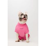 Csinieb műtét utáni ruha szuka kutyáknak 09