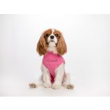 Csinieb műtét utáni ruha szuka kutyáknak 10