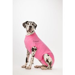 Csinieb műtét utáni ruha szuka kutyáknak D3