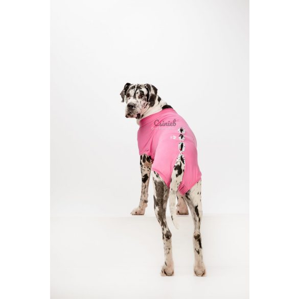 Csinieb műtét utáni ruha szuka kutyáknak D5