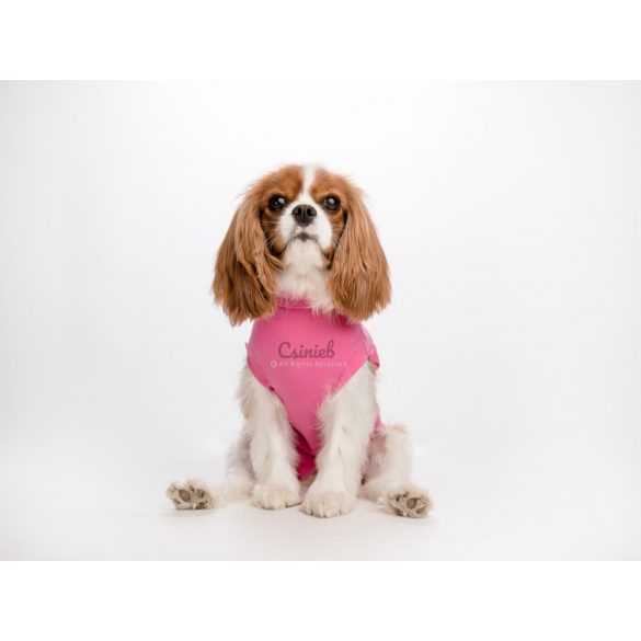 Csinieb műtét utáni ruha szuka kutyáknak D5