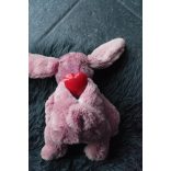 Cozy Dog Bunny Pink