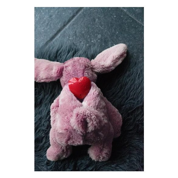 Cozy Dog Bunny Pink