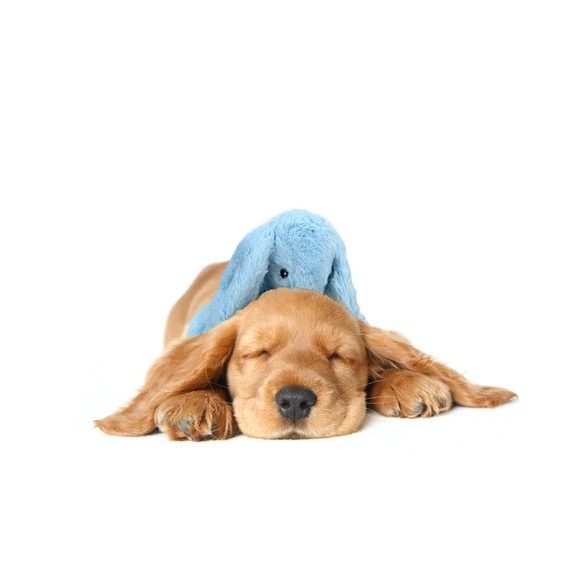 Cozy Dog Bunny Pink